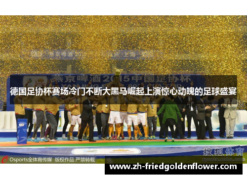德国足协杯赛场冷门不断大黑马崛起上演惊心动魄的足球盛宴