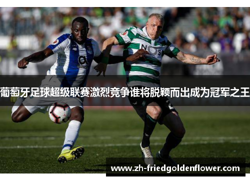 葡萄牙足球超级联赛激烈竞争谁将脱颖而出成为冠军之王