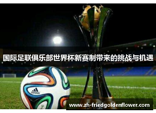 国际足联俱乐部世界杯新赛制带来的挑战与机遇