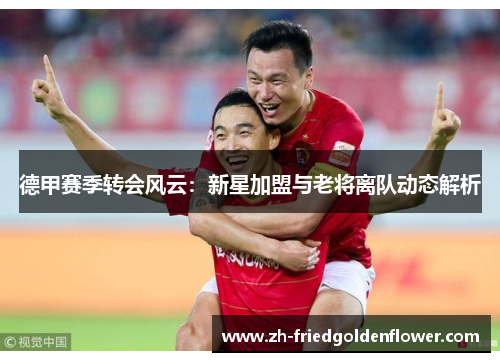 德甲赛季转会风云：新星加盟与老将离队动态解析